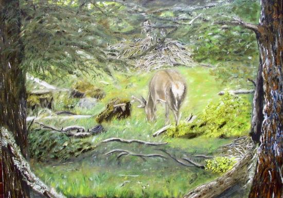 L'orée Du Cerf
