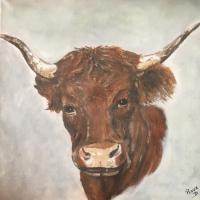 VACHE SALERS(Acrylique sur toile)